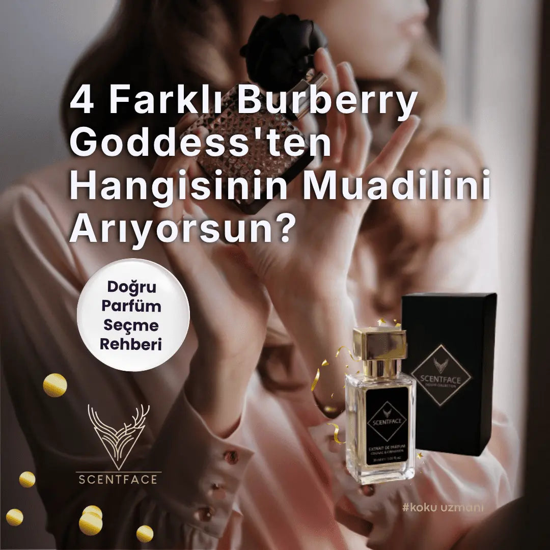 4 Farklı Burberry Goddess'ten Hangisinin Muadilini Arıyorsun?
