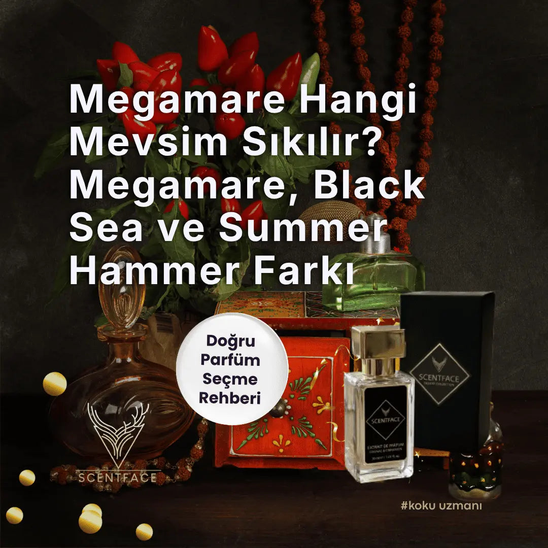 Megamare Hangi Mevsim Sıkılır? Megamare, Black Sea ve Summer Hammer Farkı