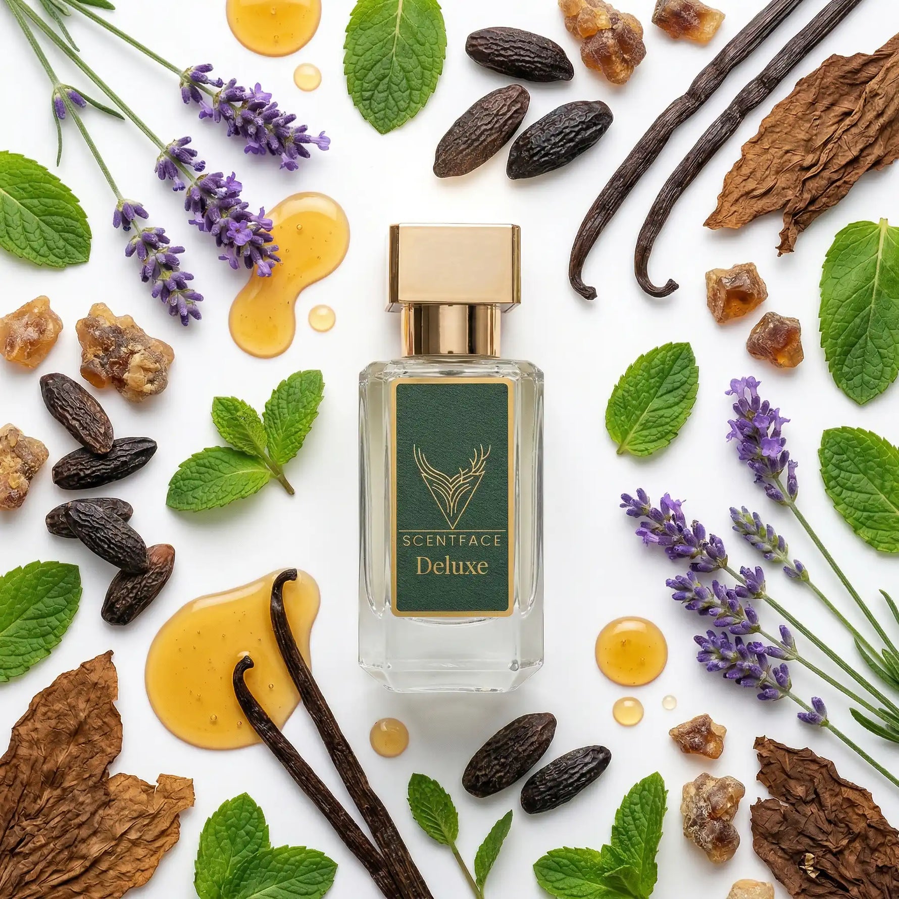 JPG Le Male Elixir lavanta vanilya aromatik notalar yoğun kalıcı parfüm EDP