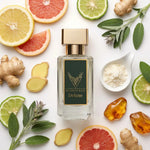 L'Immensité ambroxan ve adaçayı aromatik notalar modern kalıcı koku